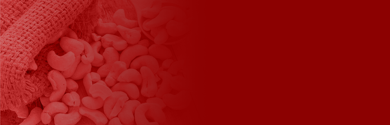 bg-footer