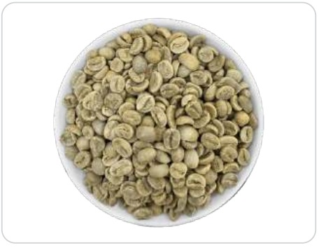 Cà phê hạt nhân xanh ARABICA sàng 18