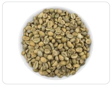 Cà phê hạt nhân xanh ARABICA sàng 16