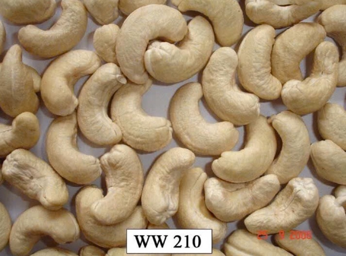 WW210